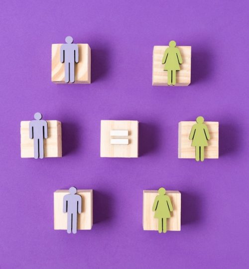 wooden-cubes-with-green-women-blue-men-figurines-equality-concept_23-2148419699